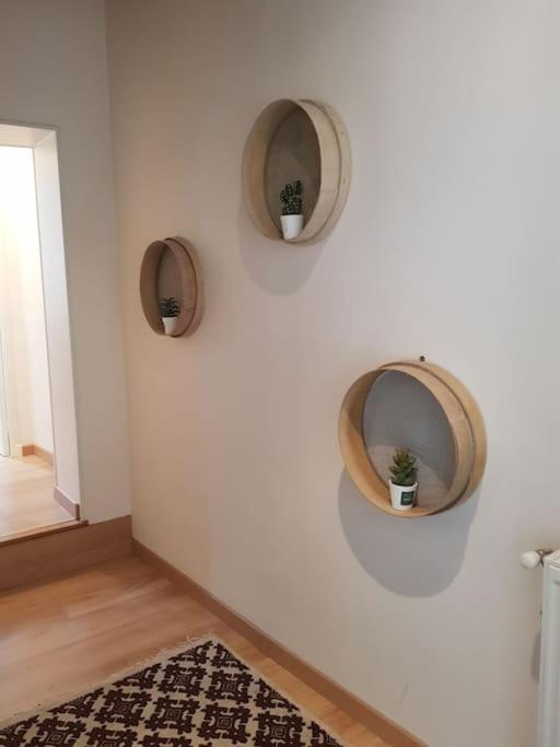 Le Petit Conte - Maison Calme En Centre Ville Sées Exteriör bild